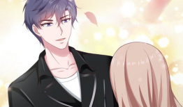 动漫总裁,动漫总裁的奇幻商业帝国