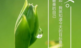 吃瓜爆料正能量图片大全,正能量图片大盘点